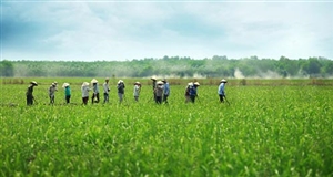 Nông nghiệp Việt Nam trước ngưỡng cửa TPP