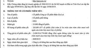 Công ty cổ phần Điện Gia Lai (GEC) thông báo niêm yết cổ phiếu tại Sở GDCK TP.HCM