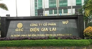 Điện Gia Lai (GEG) phát hành 32,54 triệu cổ phiếu mới