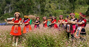 Tour du lịch, phòng khách sạn ‘đua nhau’ giảm giá dịp Black Friday