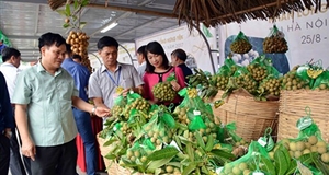 Mặt hàng rau quả và trái cây có lợi thế phát triển