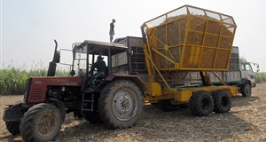 Phát triển bền vững ngành mía đường