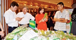 Tiếp sức cho nông sản Việt