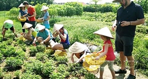 Sắp diễn ra “Phiên chợ xanh tử tế” tại Cần Thơ