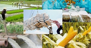 Tiếp tục ưu tiên tín dụng cho nông nghiệp
