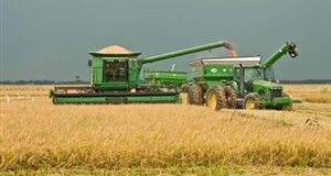 Giá gạo xuất khẩu của Việt Nam phá đỉnh mới