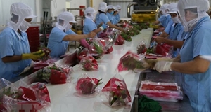 Xuất khẩu rau quả Việt Nam và mục tiêu cán mốc 10 tỷ USD