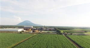 Giãn ATIGA: Cú hích thay đổi cục diện ngành mía đường?