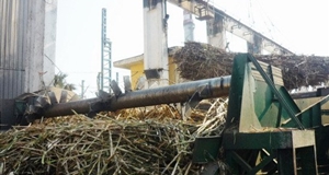 Xả thải vượt chuẩn 8.000 lần, công ty đường bị phạt gần 2 tỷ