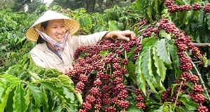 Hội thảo nông nghiệp CNC: “Cởi trói” gói tín dụng 100.000 tỷ đồng