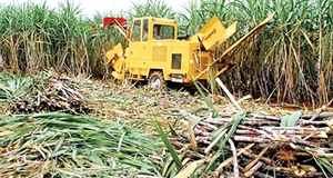 Cần có thời gian chuẩn bị để hội nhập