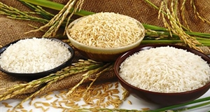 Giá trị xuất khẩu gạo tăng mạnh, Trung Quốc vẫn là thị trường chính