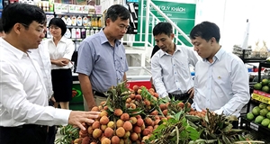 Khơi mở thị trường cho nông sản