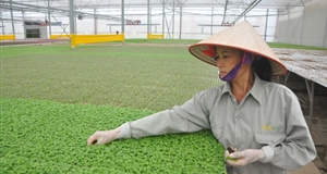 2 Bộ trưởng chủ trì hội thảo đào tạo nguồn nhân lực nông nghiệp 4.0