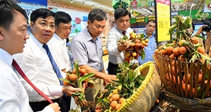 Đẩy mạnh hỗ trợ tiêu thụ nông sản trong nước