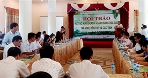 Trà Vinh và Bến Tre kết nối kinh doanh dừa
