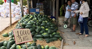 Chiến tranh thương mại Mỹ - Trung gây tăng áp lực cho nông sản Việt