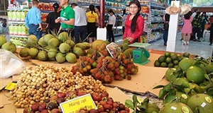 Bến Tre thí điểm hợp tác xã nông sản an toàn tiêu thụ sản phẩm sạch