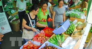 Cơ hội nào cho mô hình sản xuất – thương mại sản phẩm nông sản sạch