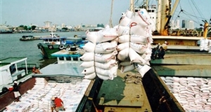 Philippines thay hạn ngạch bằng thuế nhập khẩu gạo