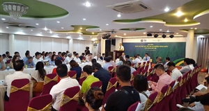 Nông sản Việt xuất ngoại: Tiểu ngạch áp đảo chính ngạch