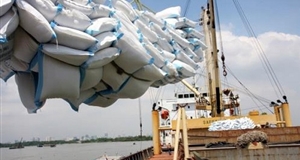 Việt Nam ký hợp đồng 1 tỷ USD xuất khẩu gạo độc quyền sang Philippines