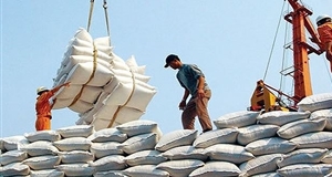 Lần đầu tiên Việt Nam tổ chức Hội nghị Gạo thế giới