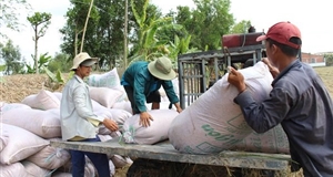 Xuất khẩu gạo Việt Nam đạt mức cao nhất 3 năm qua