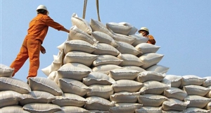 Để tăng tốc xuất khẩu gạo