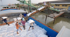 Xuất khẩu gạo tăng gần 9% trong 9 tháng đầu năm