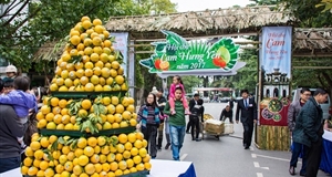 Lễ hội cam Hưng Yên 2018 có quy mô trên 300 gian hàng