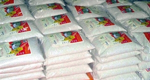 Việt Nam trúng thầu 29.000 tấn gạo xuất khẩu sang Philippines