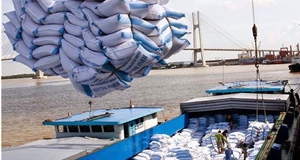 Xuất khẩu gạo đạt trên 3 tỷ USD
