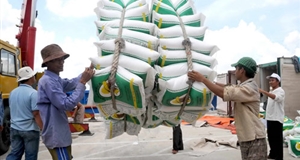 Năm 2019, điều gì đang chờ ngành xuất khẩu gạo?
