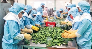 Nông nghiệp 4.0: Nông sản an toàn, chất lượng, chìa khóa xuất khẩu vào EU