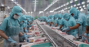 Nông nghiệp với vai trò trụ đỡ cho nền kinh tế Việt Nam