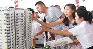 Bất động sản TP.HCM: Căn hộ tầm trung đang thắng thế