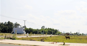 Đất nền TP.HCM giảm nhiệt chứ chưa giảm giá mạnh
