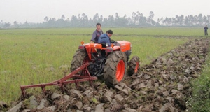 Tiếp tục rà soát, đánh giá những bất cập liên quan đến tích tụ đất đai
