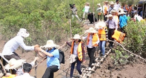 Cất cánh du lịch xứ Dừa