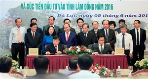 Đầu tư du lịch tại Đà Lạt được miễn tiền thuê đất