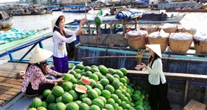 Cần Thơ tổ chức lễ hội du lịch tôn vinh Chợ nổi Cái Răng