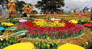 Phát hành miễn phí bản đồ du lịch dịp Festival Hoa Đà Lạt