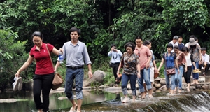 Du lịch nội địa đang hết thời?