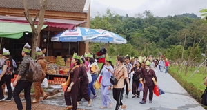 Hơn 3 nghìn Phật tử hành hương về Yên Tử