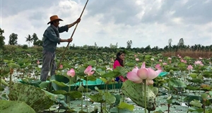 Đồng Tháp thúc đẩy phát triển du lịch gắn với sản phẩm đặc trưng