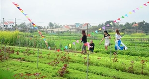 Du lịch sinh thái gắn với nông nghiệp: Đánh thức thị trường ngàn tỷ