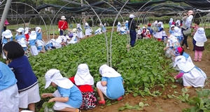 Phát triển du lịch sinh thái nông nghiệp