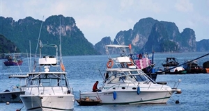 Quản lý tàu, du thuyền, xuồng du lịch trên vịnh Hạ Long