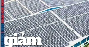 Top 10 Best Sustainability Reports 2022